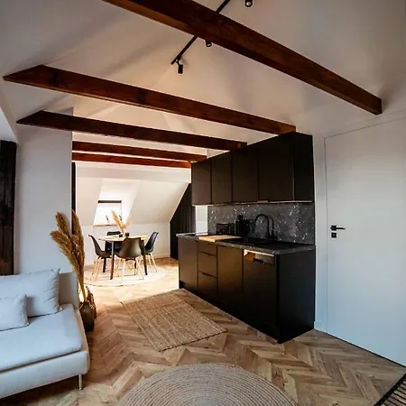 Apartament Na Poddaszu 公寓 *