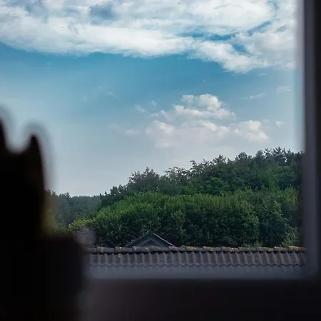 公寓 Apartament Na Poddaszu 威赫罗伏